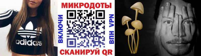 Галлюциногенные грибы GOLDEN TEACHER  Купить закладки  Суворов 